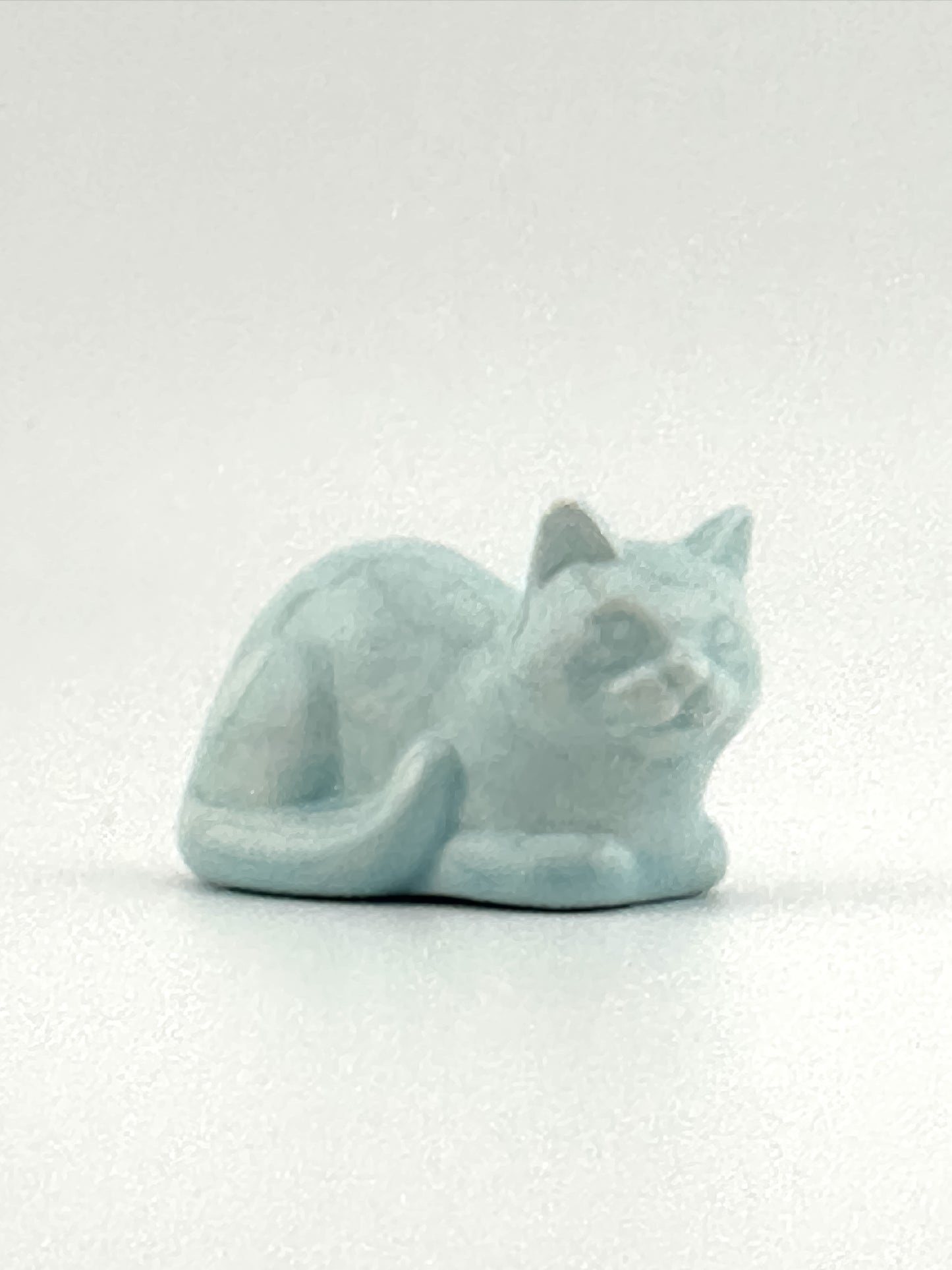 Blue Loaf Cat