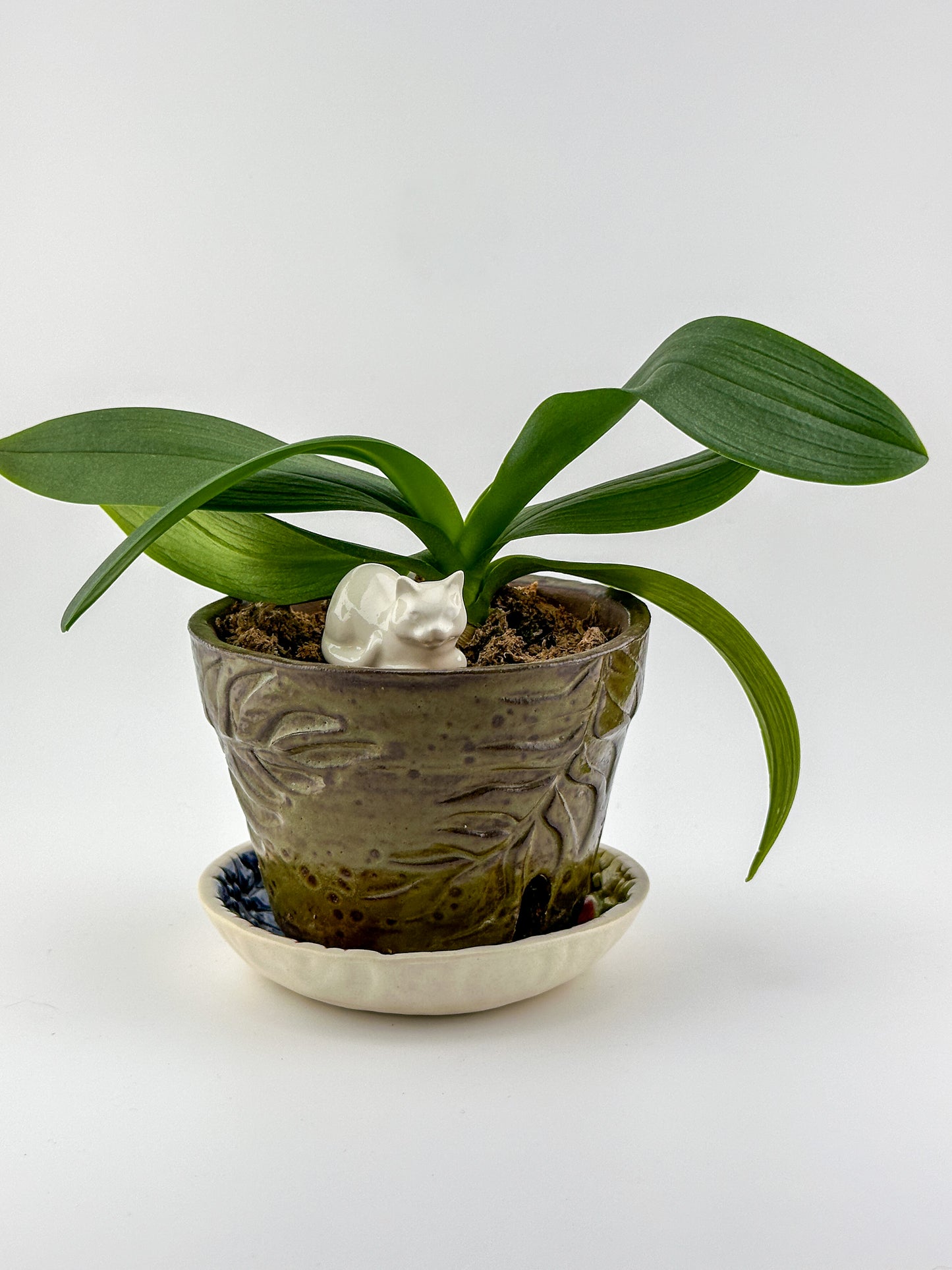 Little Loaf Cat / White