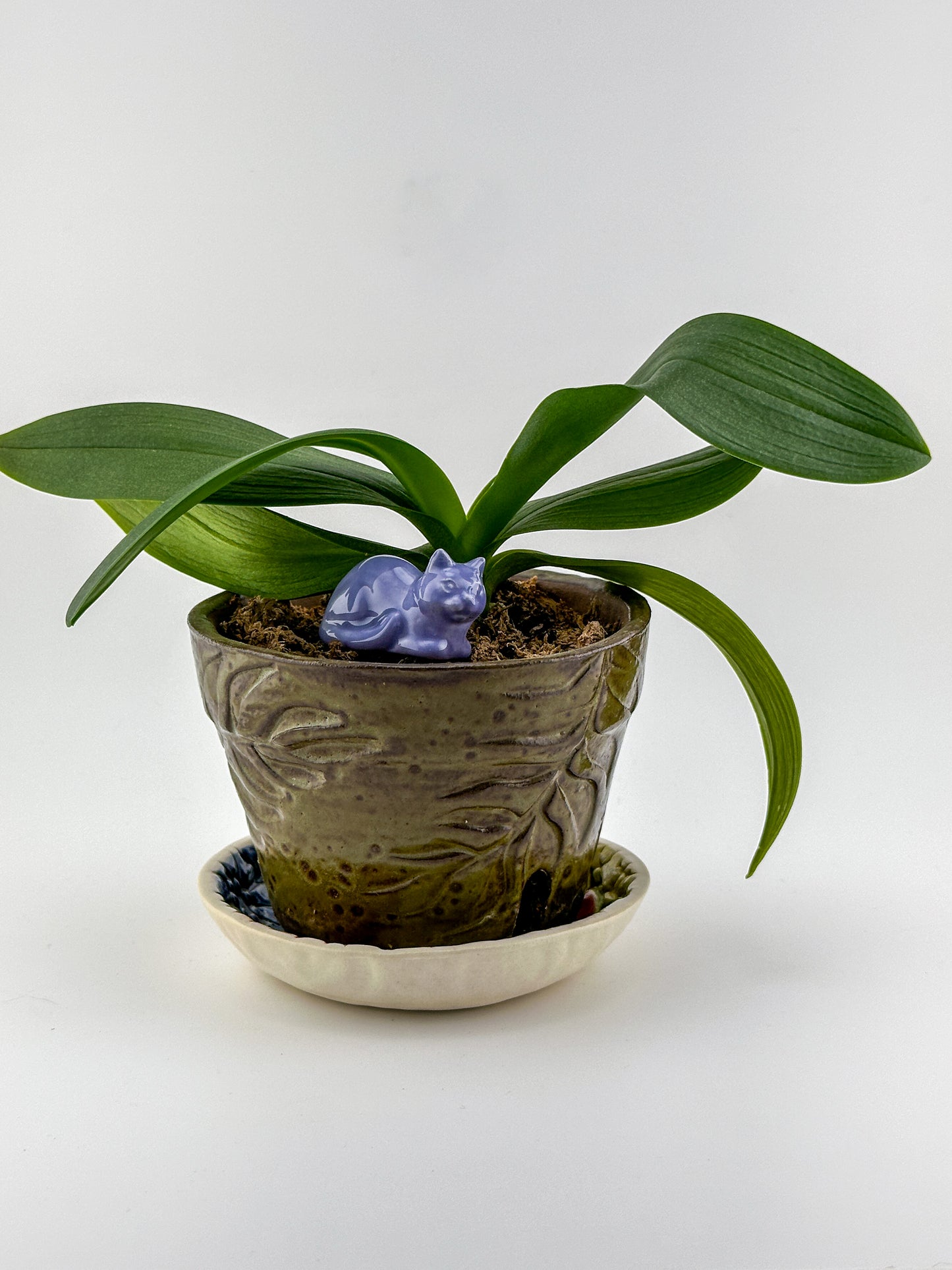 Little Loaf Cat / Lavender