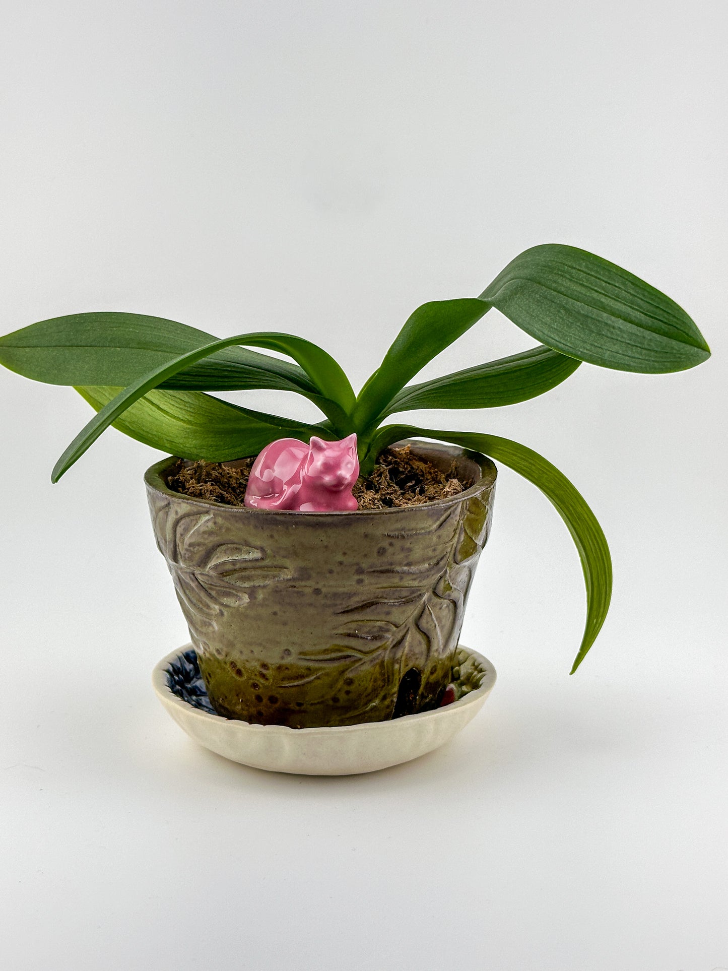 Little Loaf Cat / Bright Pink