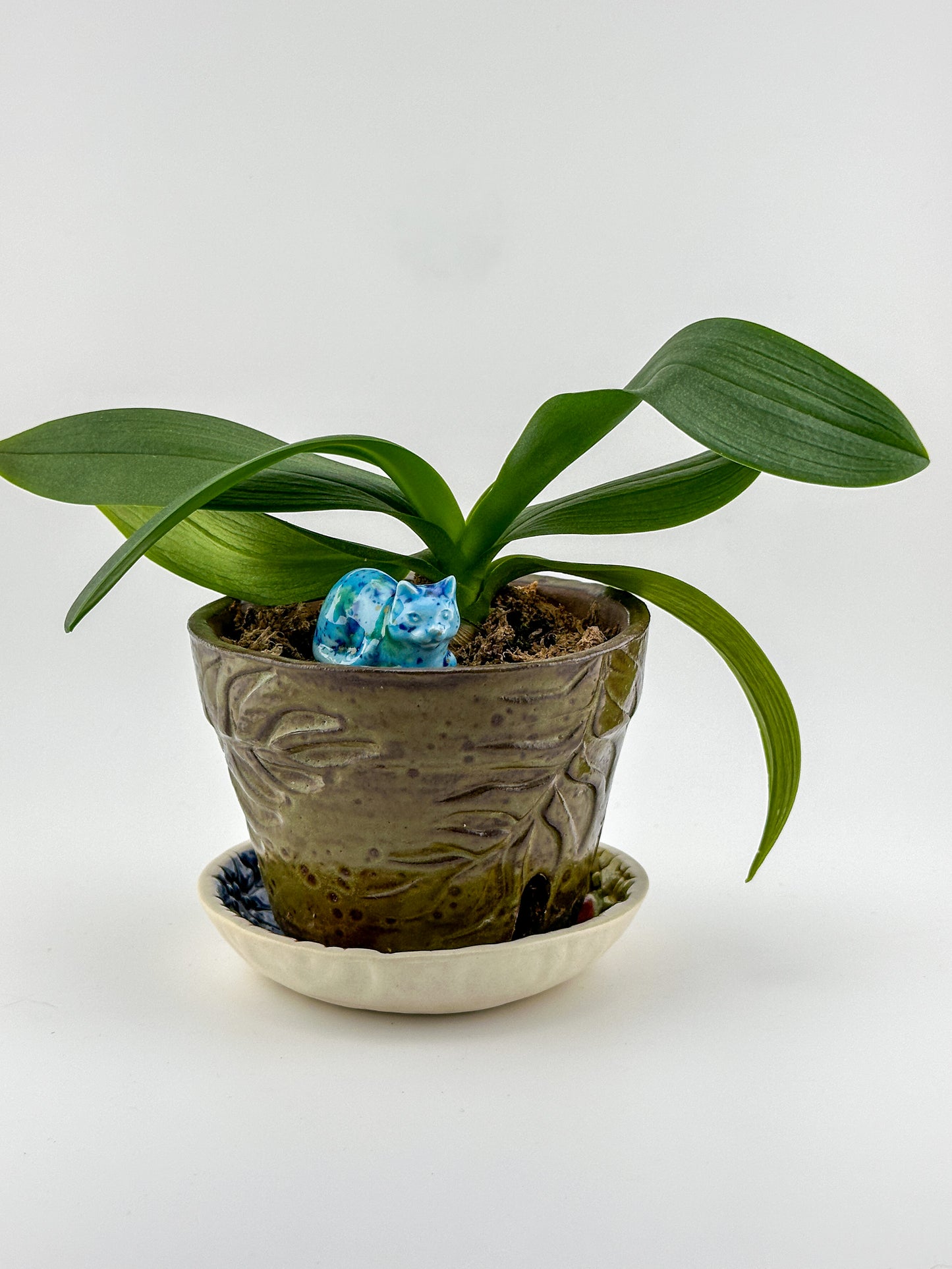 Little Loaf Cat / Turquose with Dark Blue, Green, Yellow Crystals