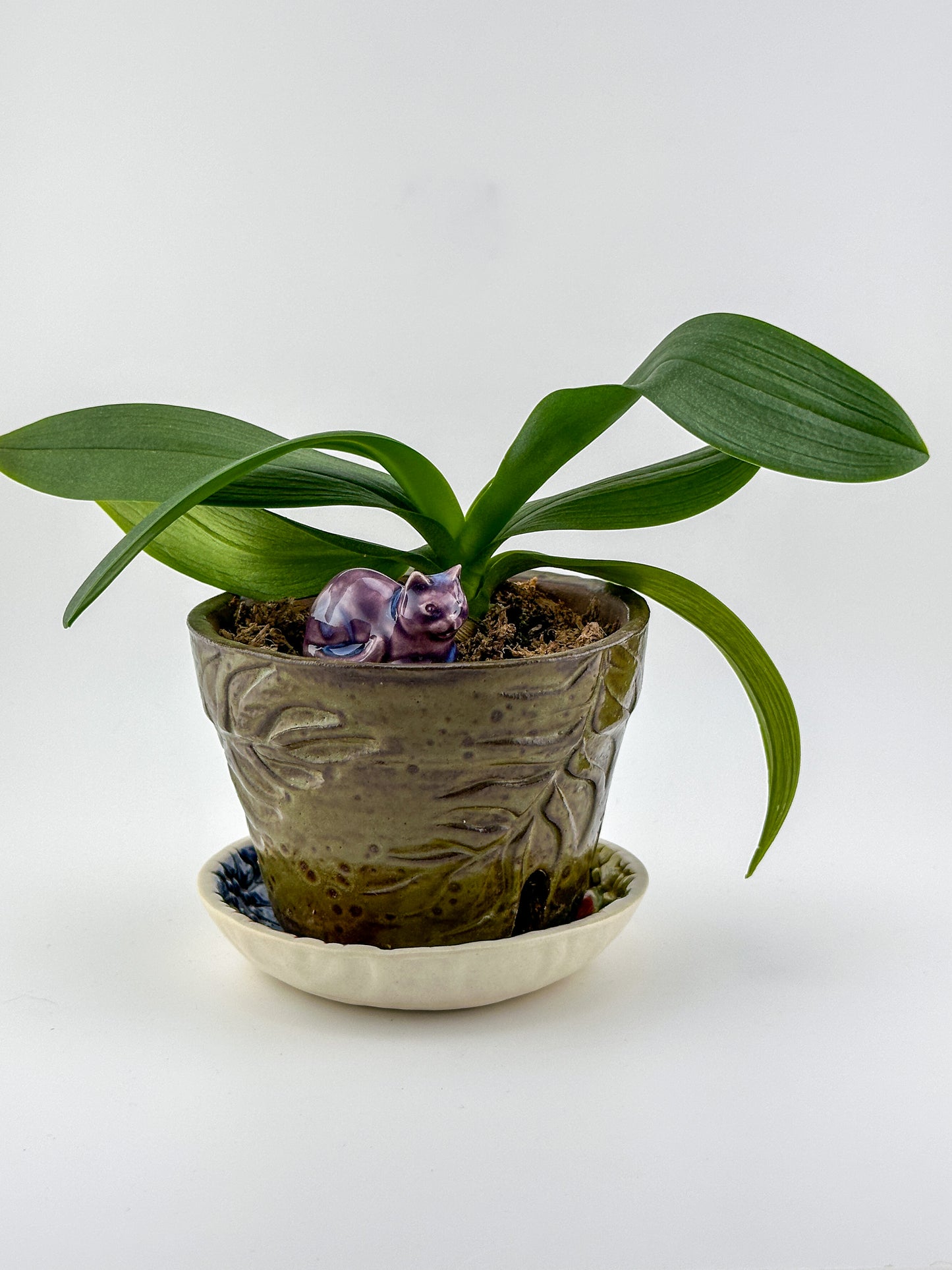 Little Loaf Cat / Dark Purple Crystal