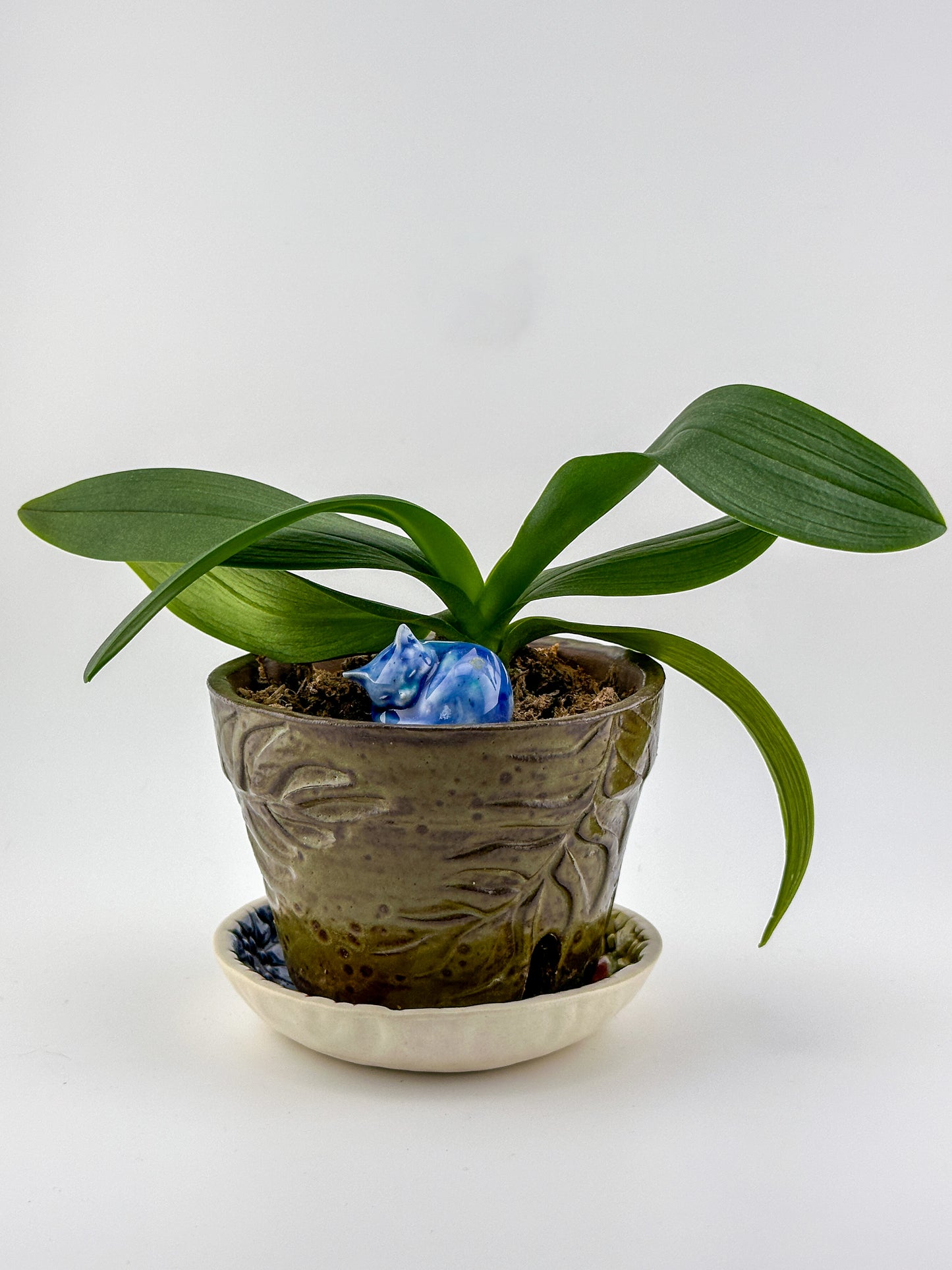 Little Sleeping Cat / Dark Blue with Green Gold Crystals