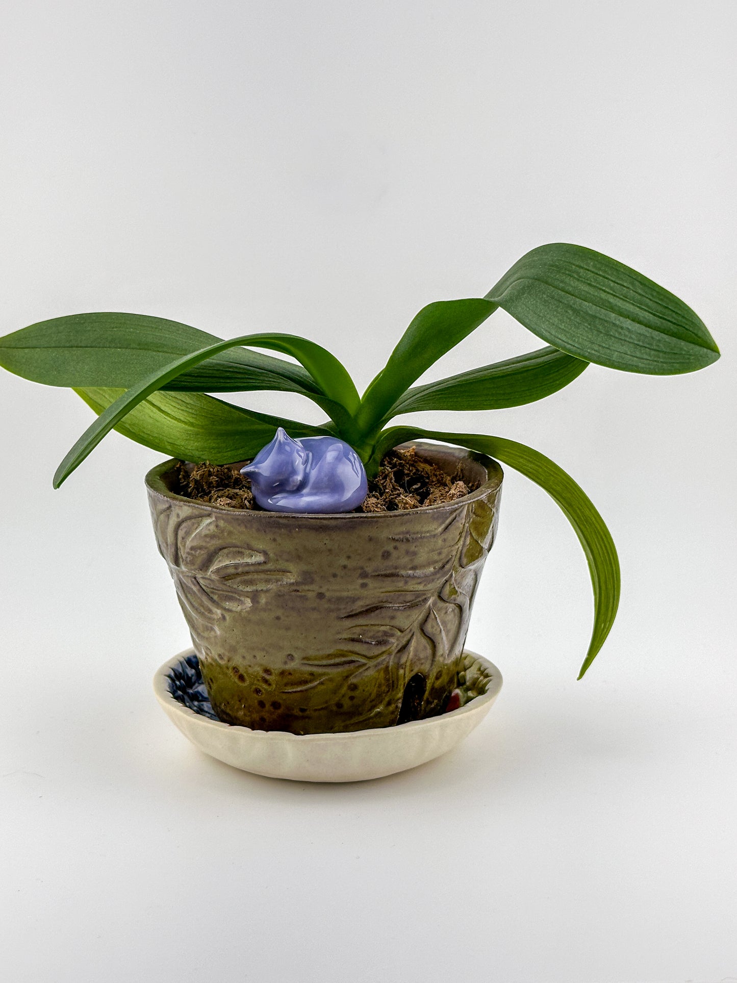 Little Sleeping Cat / Lavender