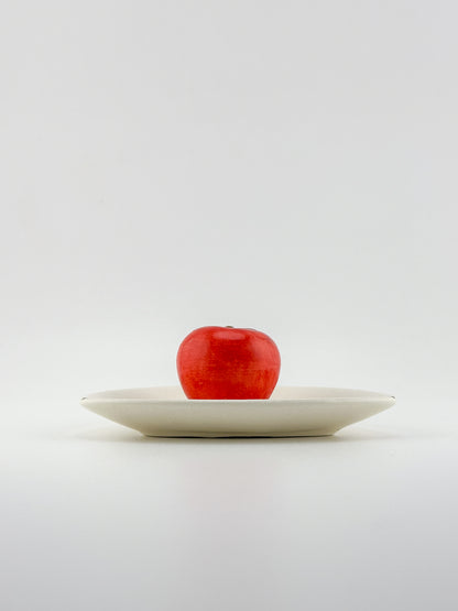 Brandywine Red Tomato / Miniature Heirloom / Red