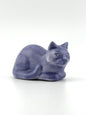 Purple Loaf Cat