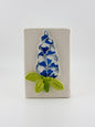 Bluebonnet Square Planter/Pencil Case
