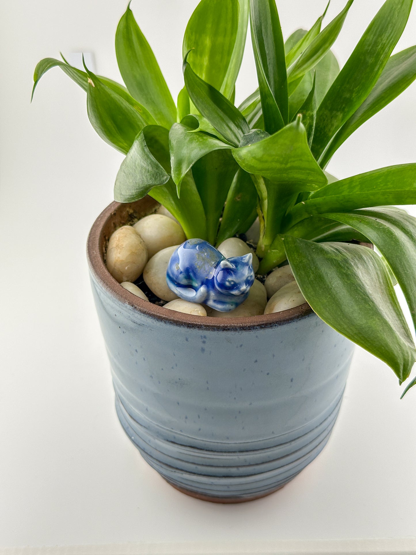 Little Loaf Cat / Dark Blue with Green Gold Crystals