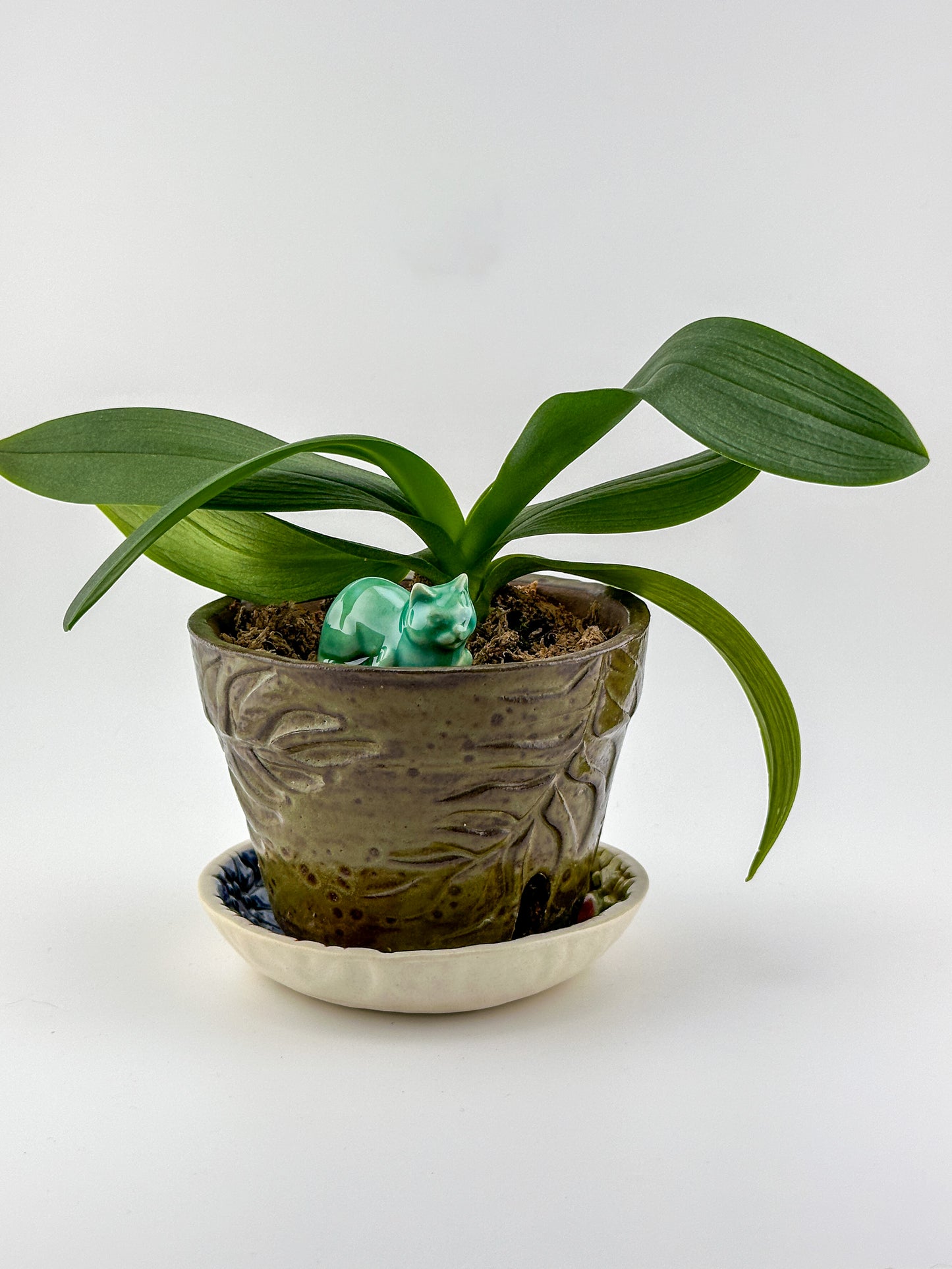 Little Loaf Cat / Green with White Crystal