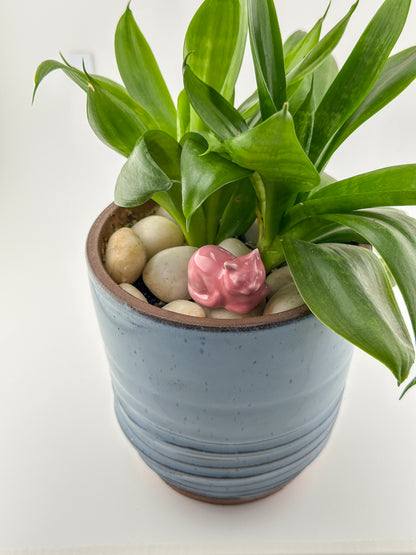 Little Loaf Cat / Bright Pink