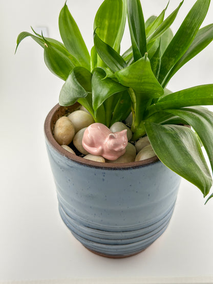 Little Loaf Cat / Light Pink