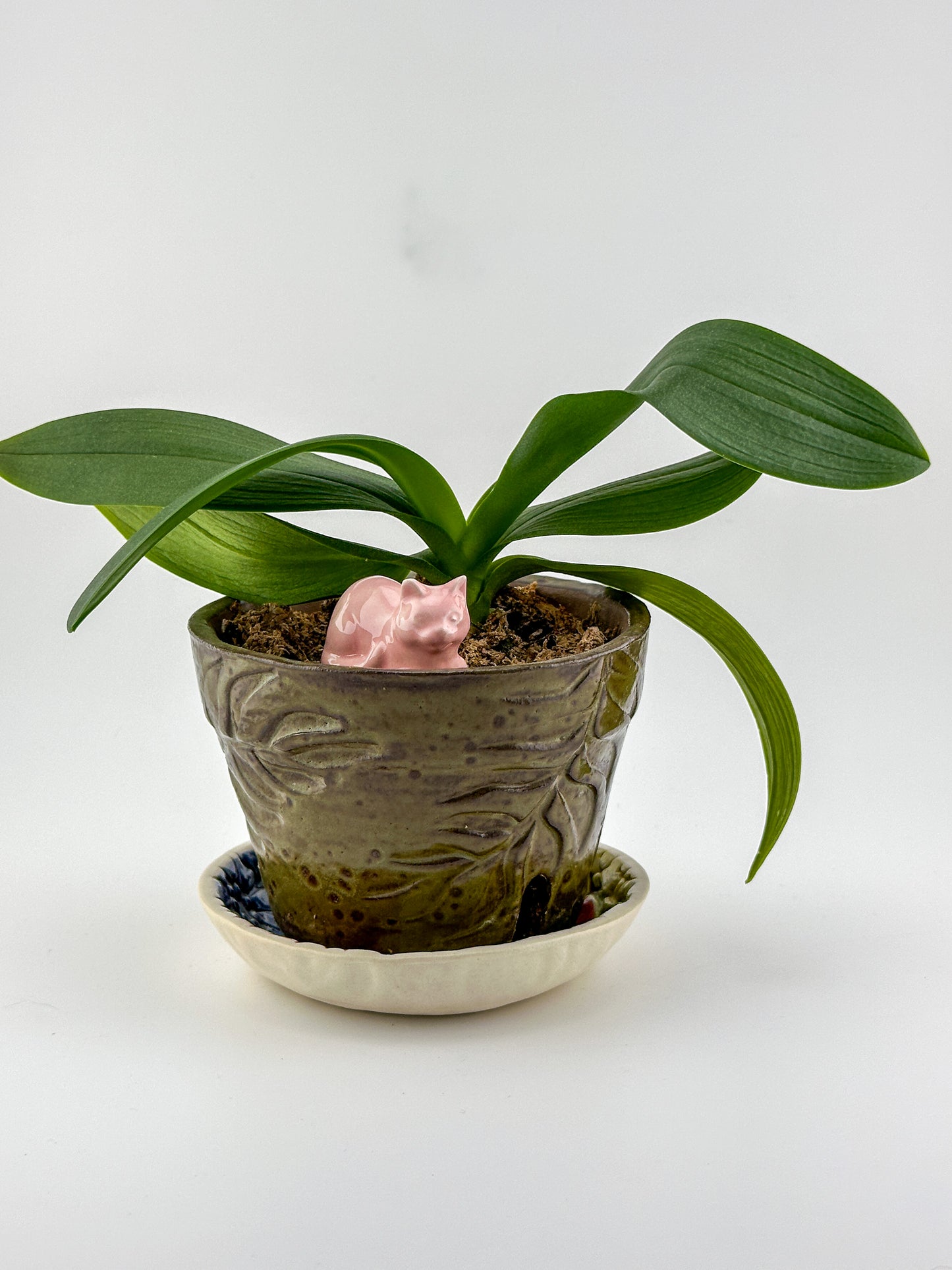 Little Loaf Cat / Light Pink