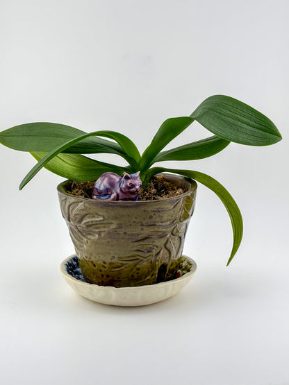 Little Loaf Cat / Dark Purple Crystal