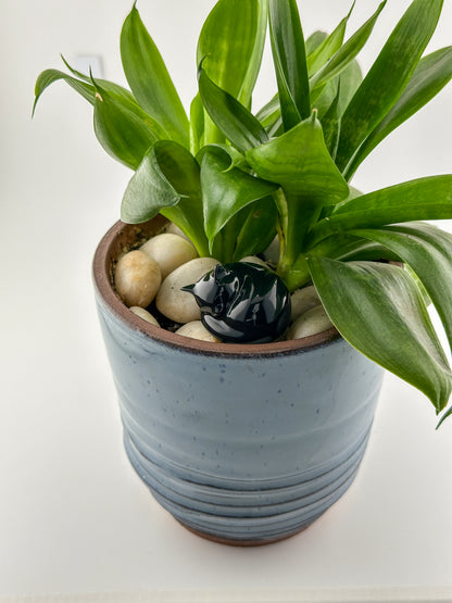 Little Sleeping Cat / Black