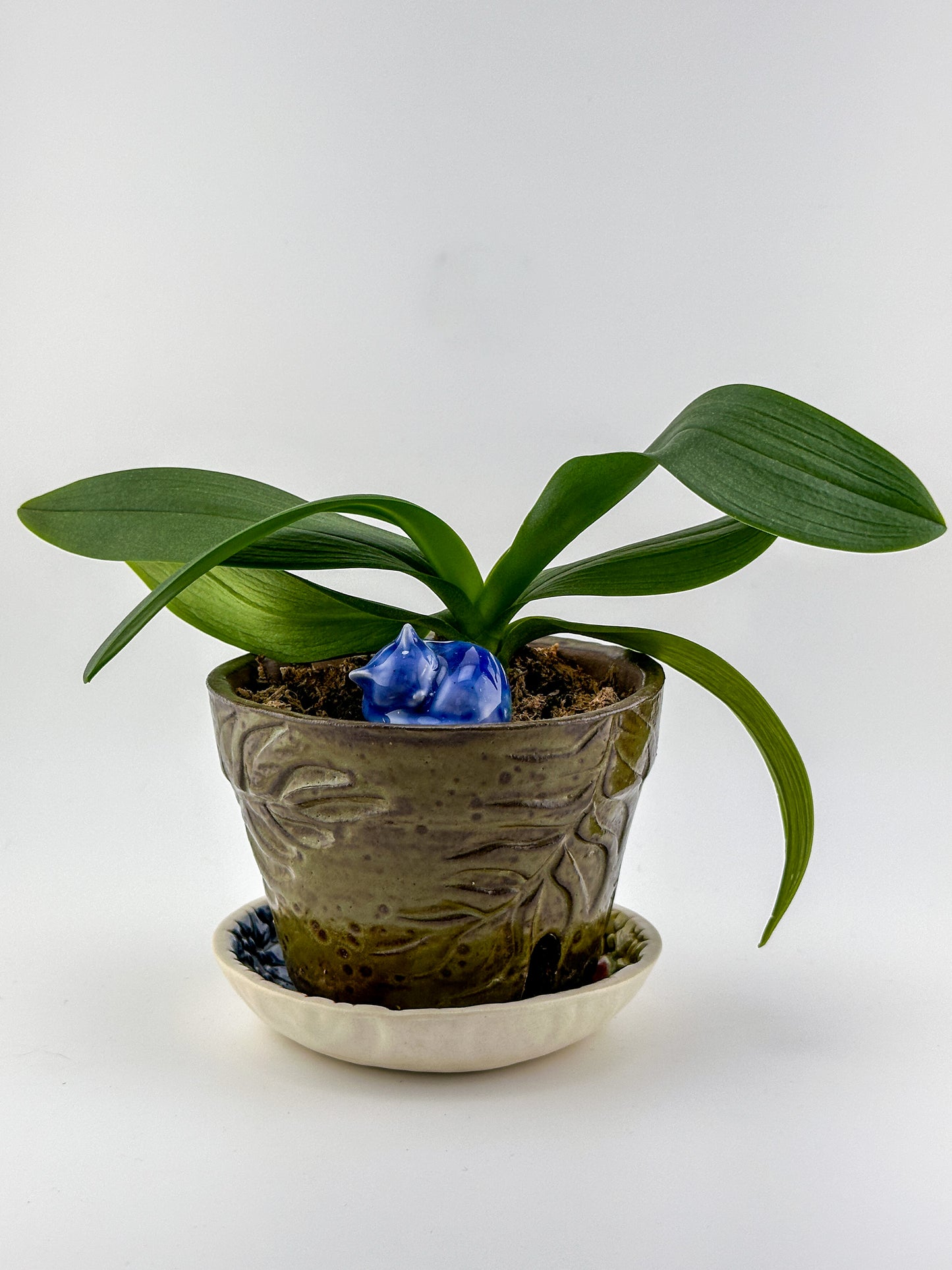 Little Sleeping Cat / Dark Blue with Green Gold Crystals