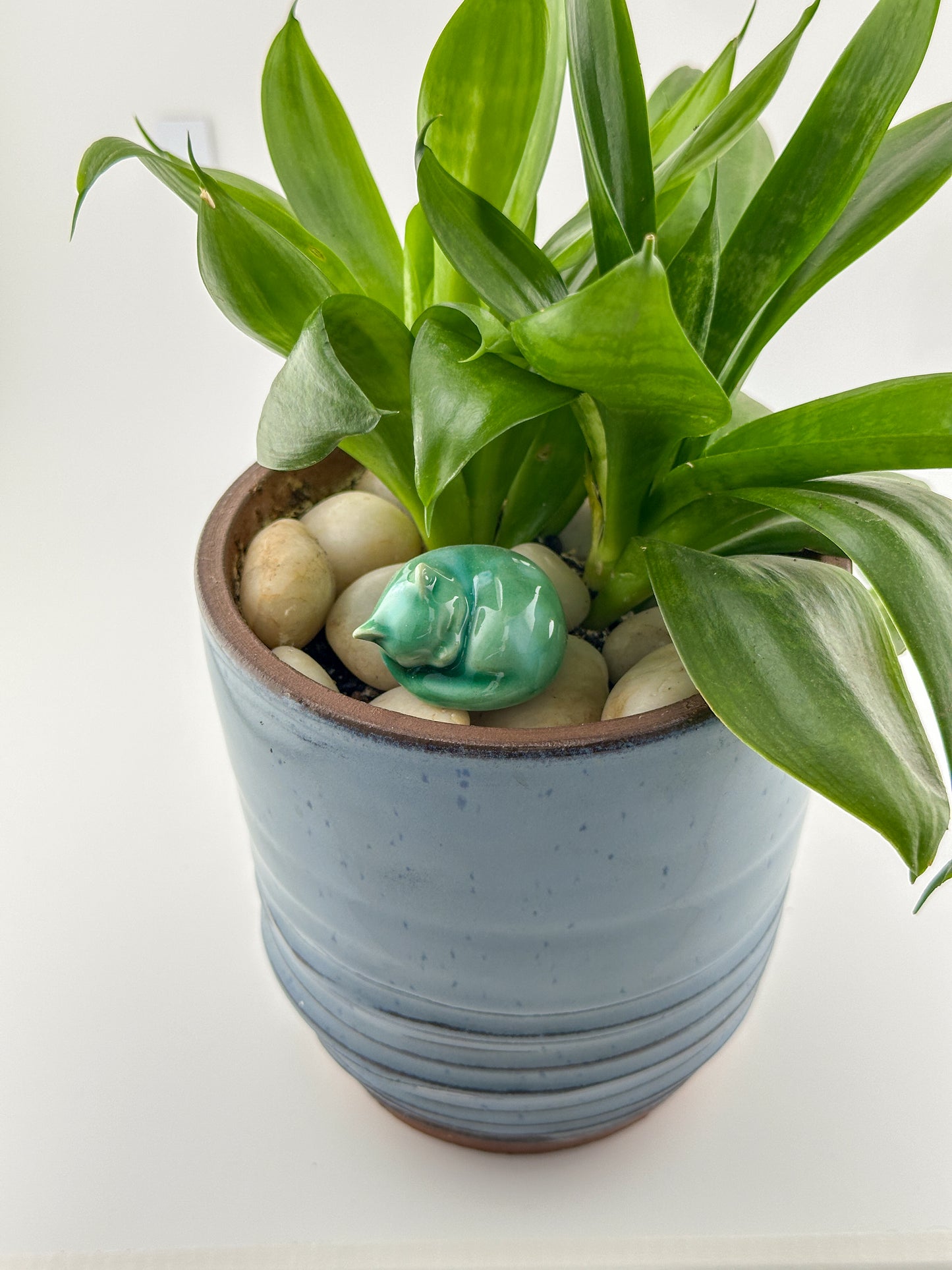 Little Sleeping Cat / Green with White Crystal