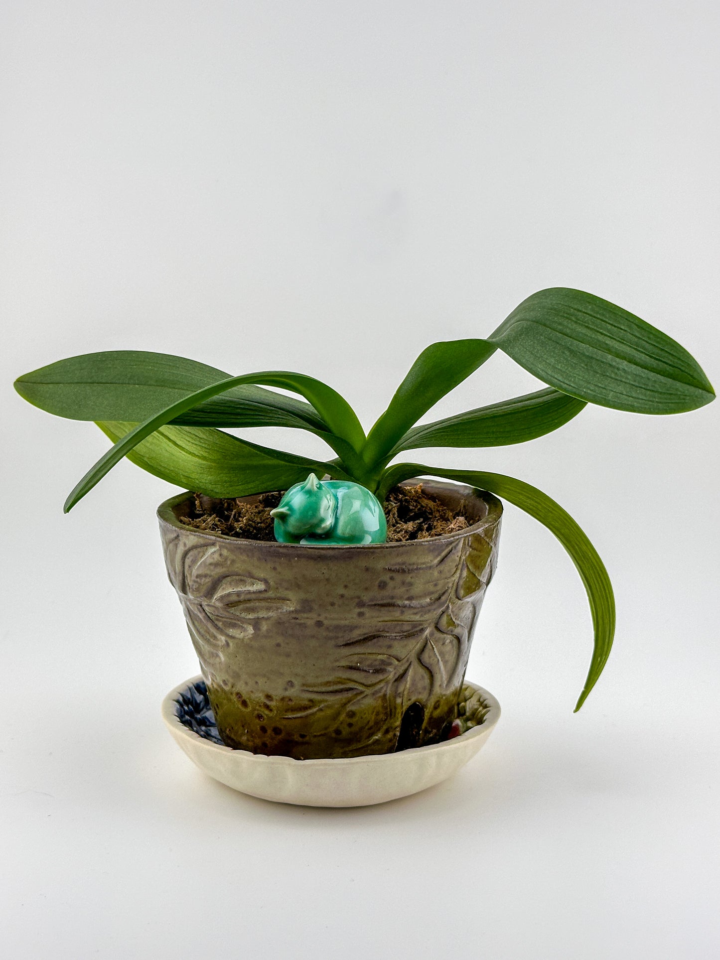 Little Sleeping Cat / Green with White Crystal