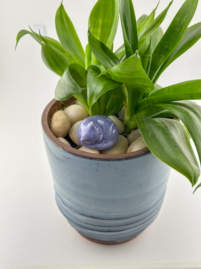 Little Sleeping Cat / Lavender