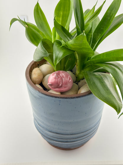 Little Sleeping Cat / Bright Pink