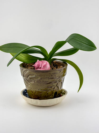 Little Sleeping Cat / Bright Pink