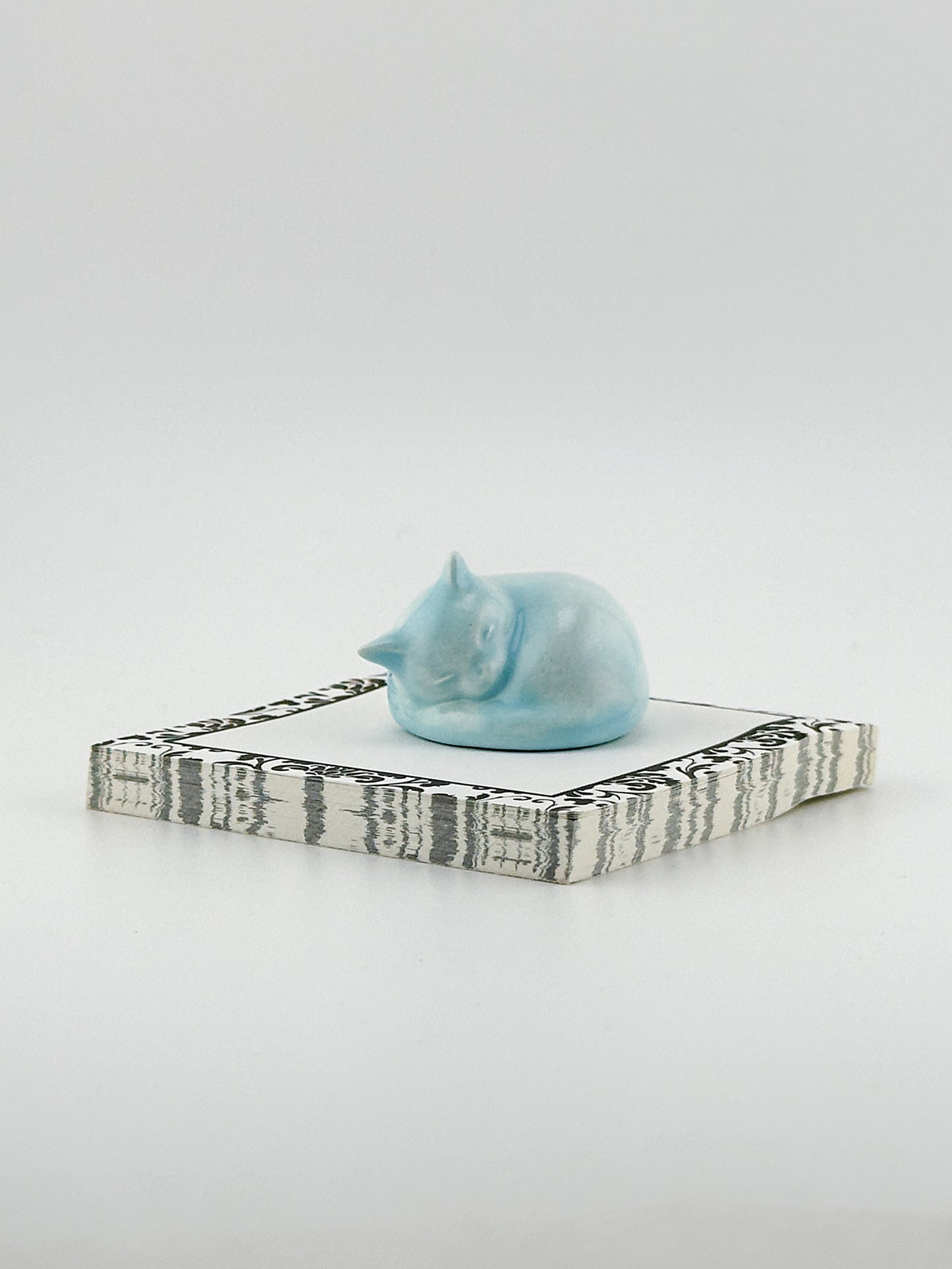 Little Sleeping Cat / Aqua