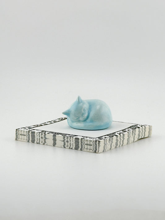 Little Sleeping Cat / Aqua