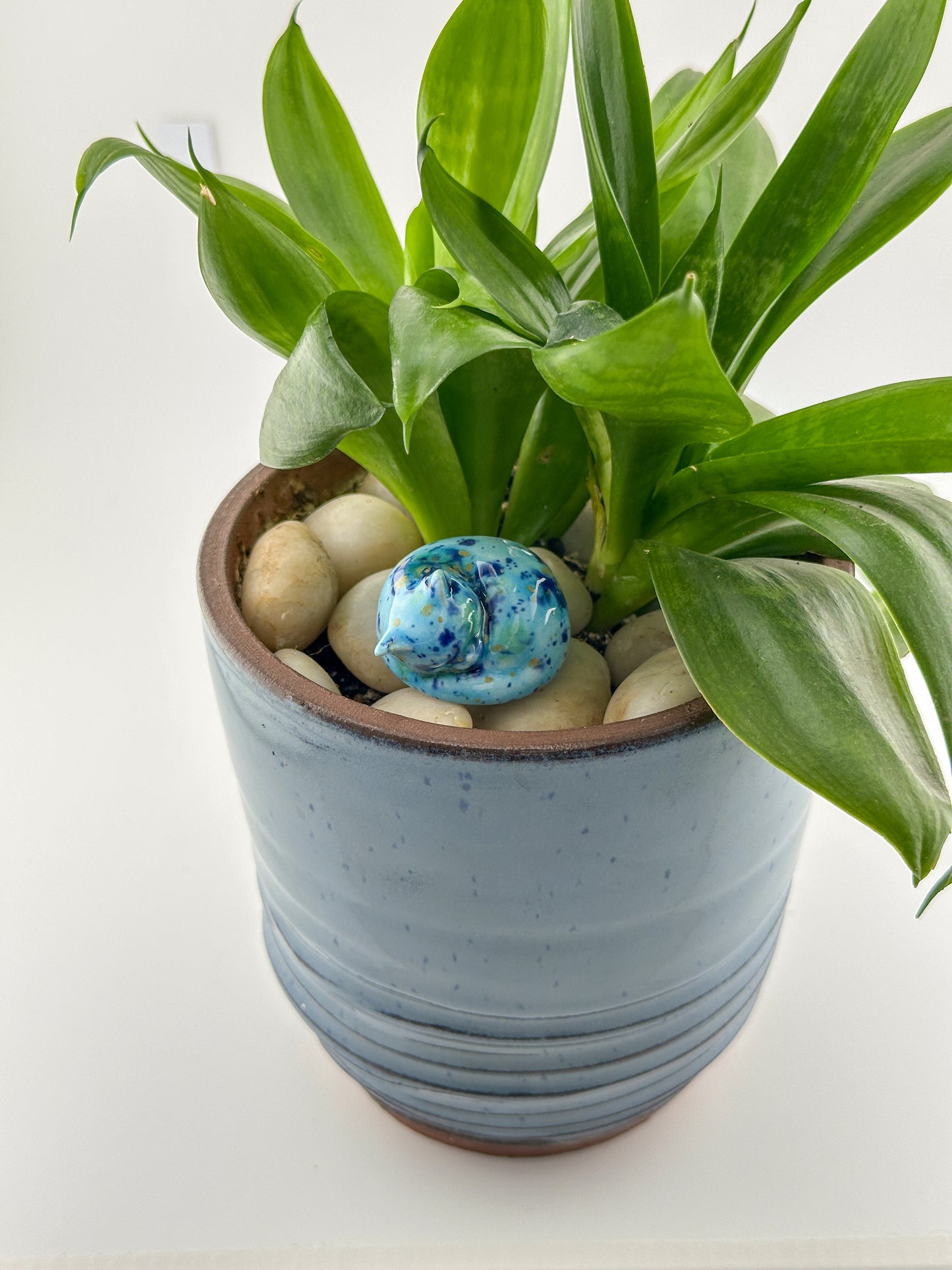 Little Sleeping Cat / Turquose with Dark Blue, Green, Yellow Crystals