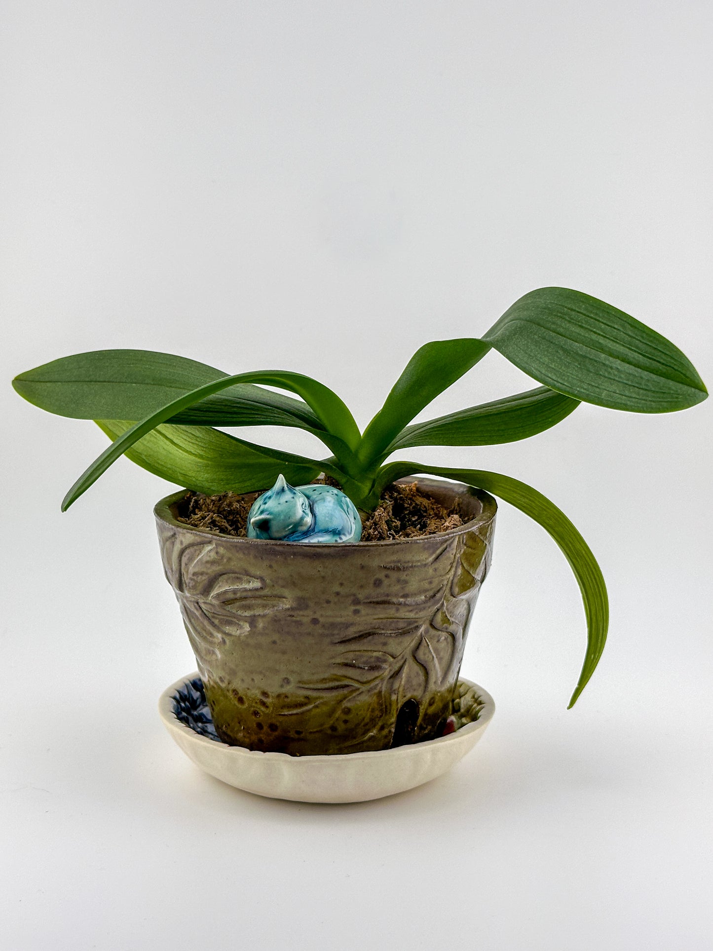 Little Sleeping Cat / Dark Teal Crystal