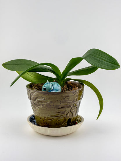 Little Sleeping Cat / Dark Teal Crystal