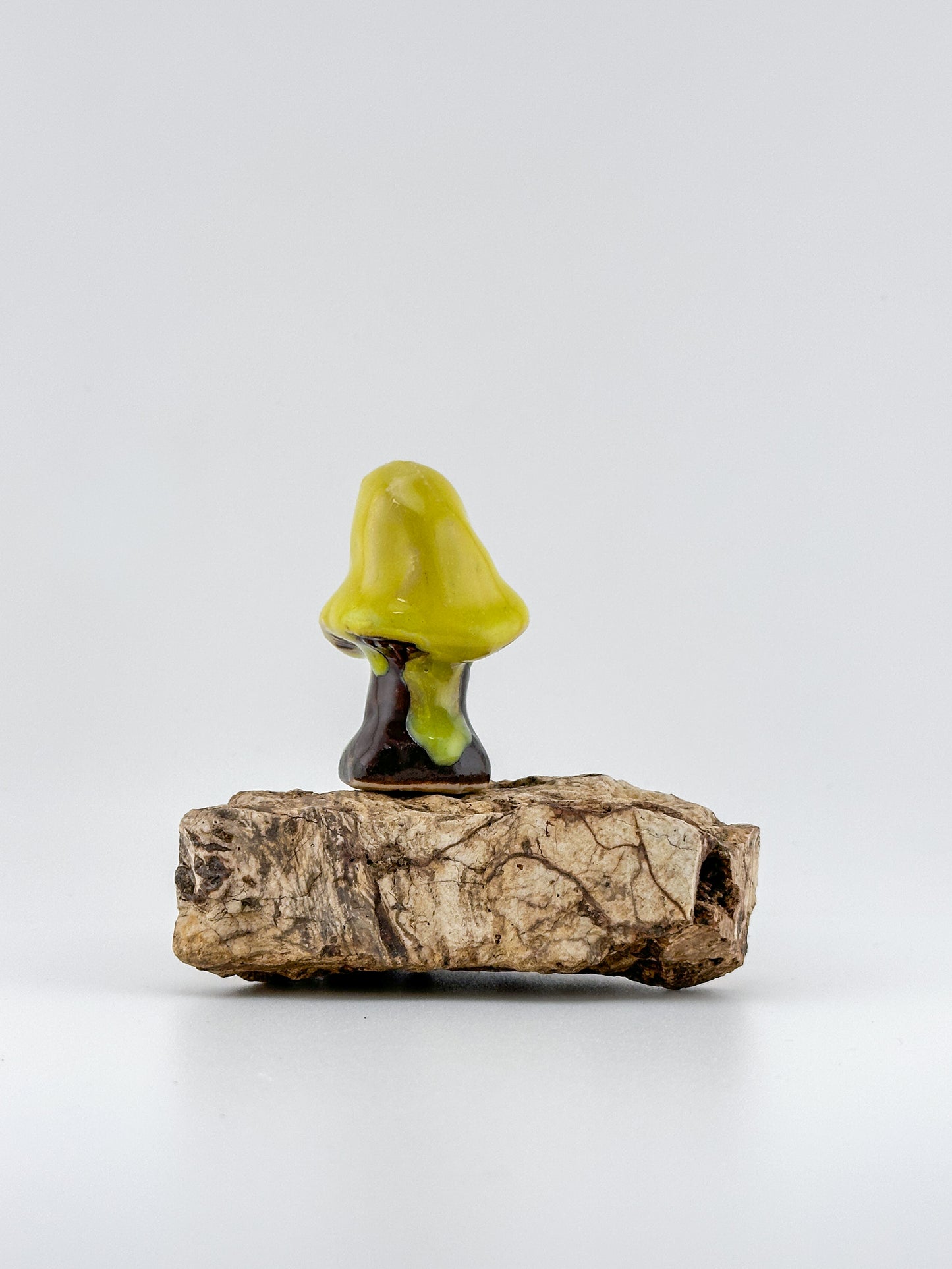 Mushroom Series 1 / Texture Leopard / Small