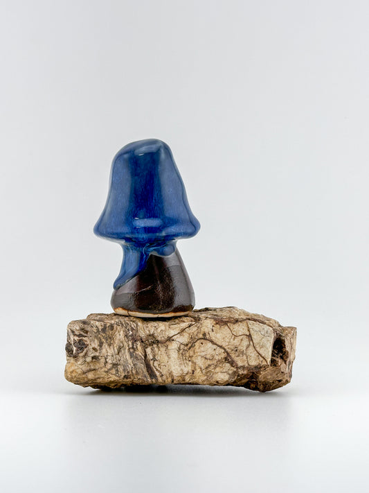 Mushroom Series 1 / Moonscape / Large