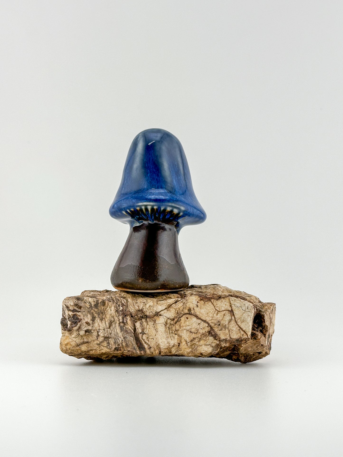 Mushroom Series 1 / Moonscape / Large