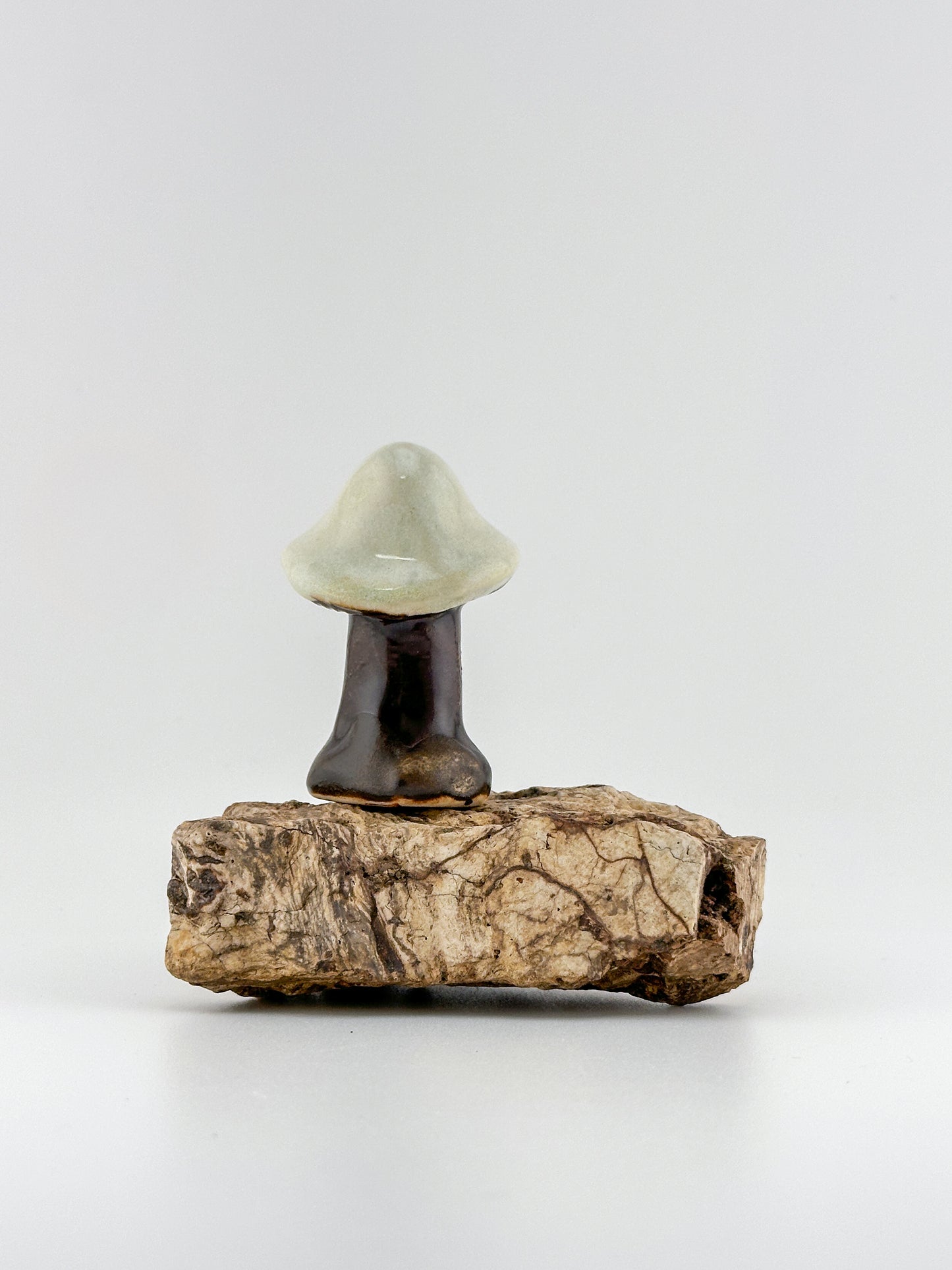 Mushroom Series 1 / Honeydew / Medium