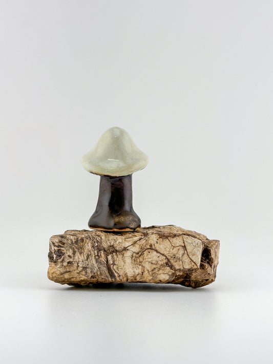 Mushroom Series 1 / Honeydew / Medium