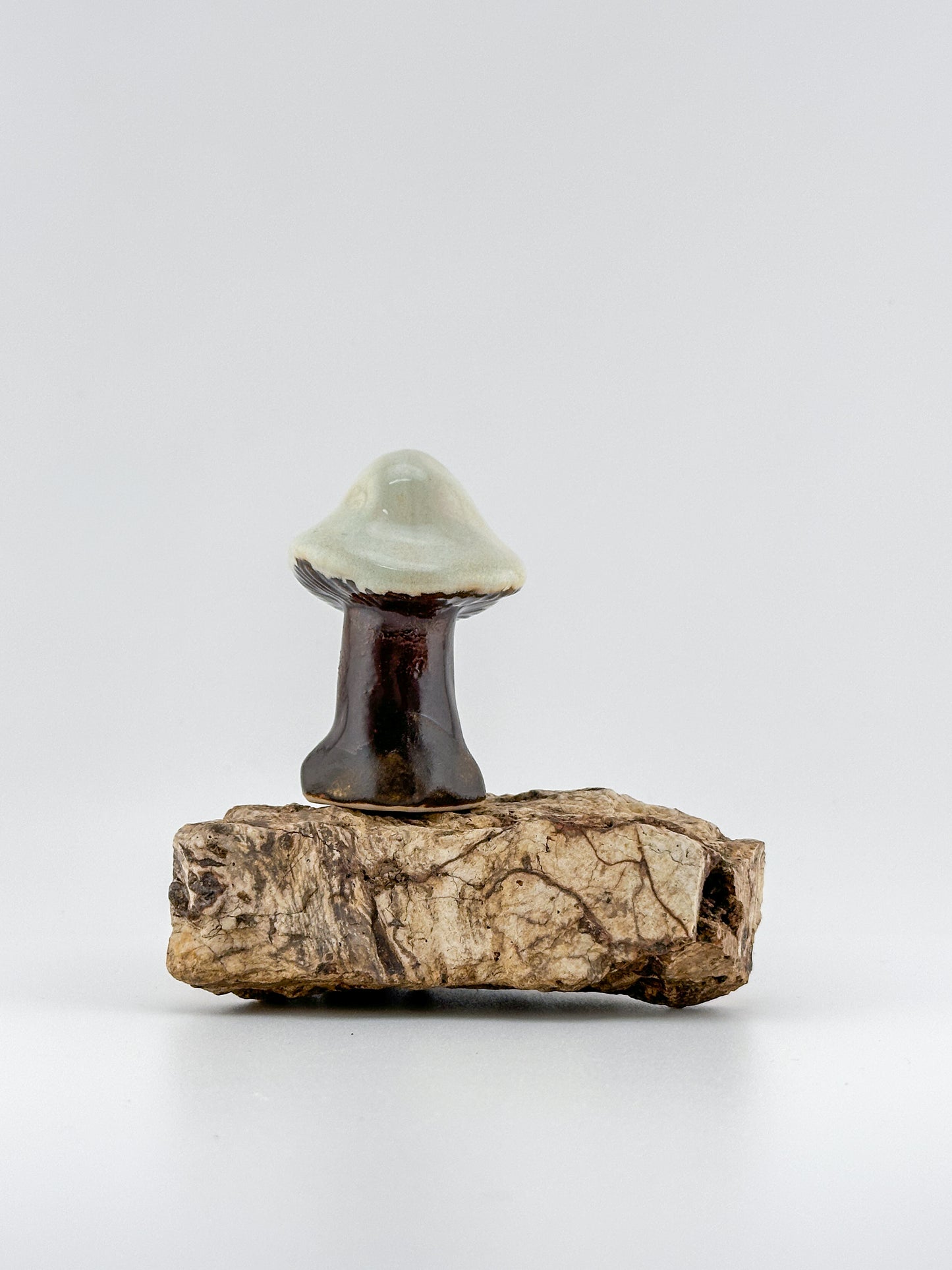 Mushroom Series 1 / Honeydew / Medium