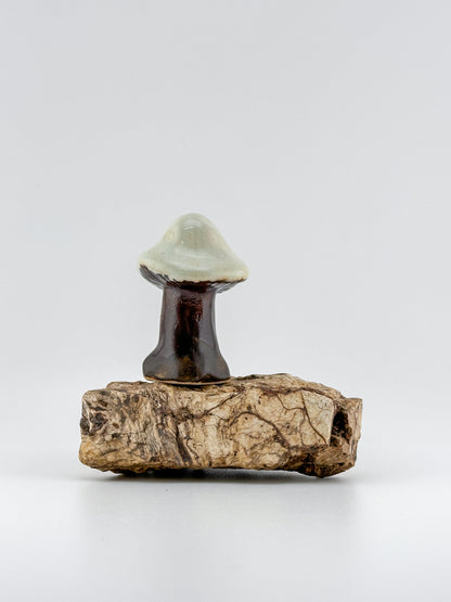 Mushroom Series 1 / Honeydew / Medium