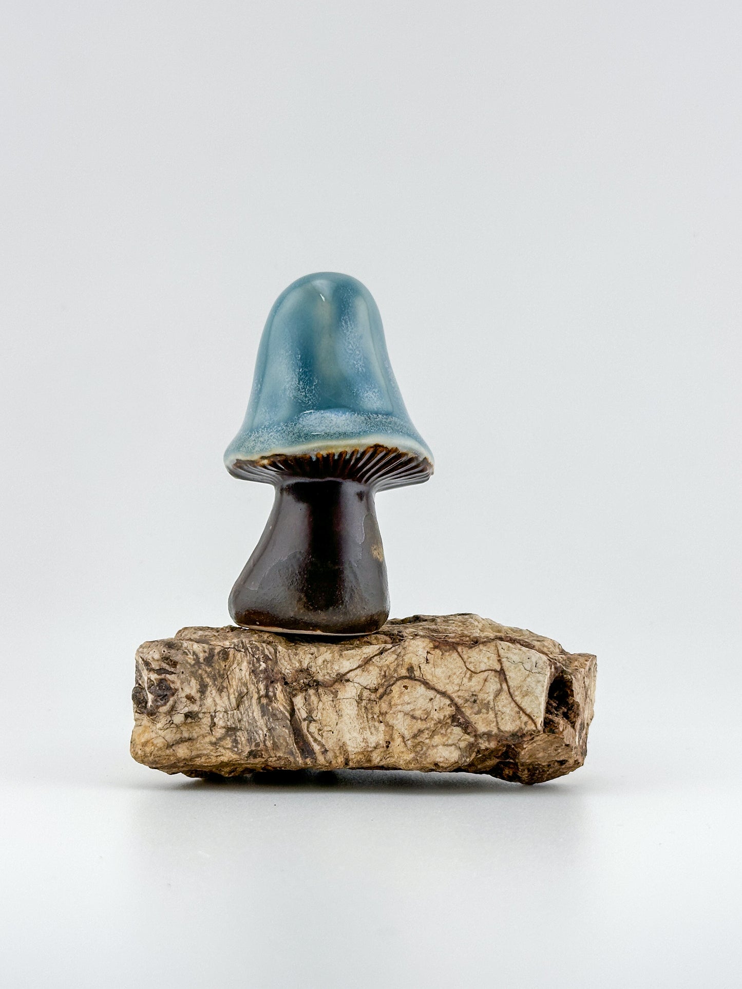 Mushroom Series 1 / Opal/ Large