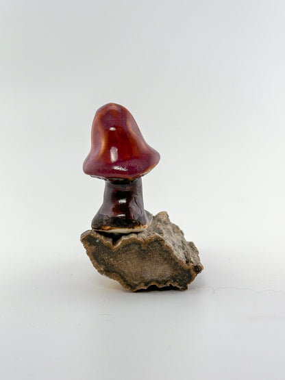 Mushroom Series 1 / Chun Plum / Small