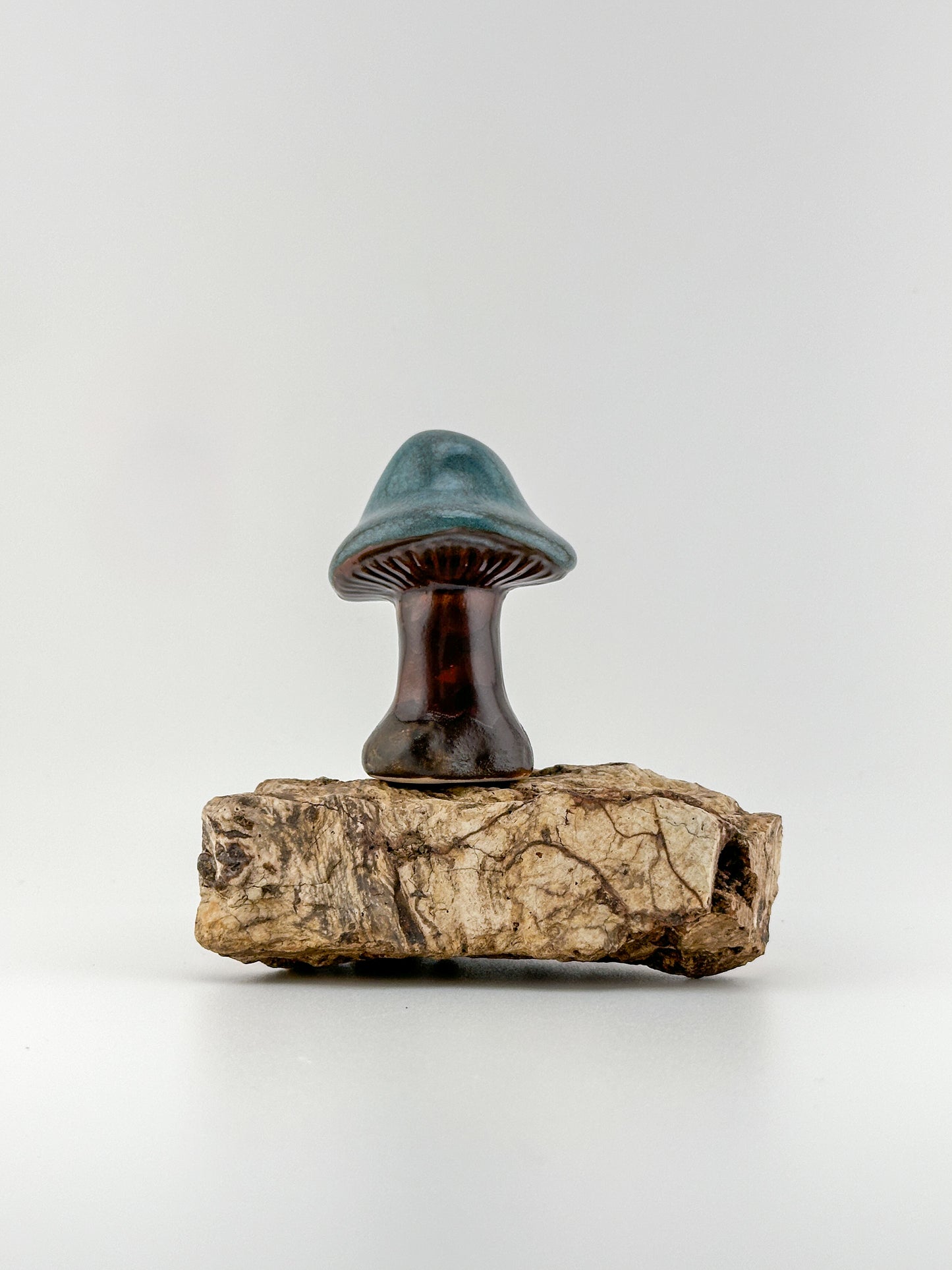 Mushroom Series 1 / Tourmaline / Medium