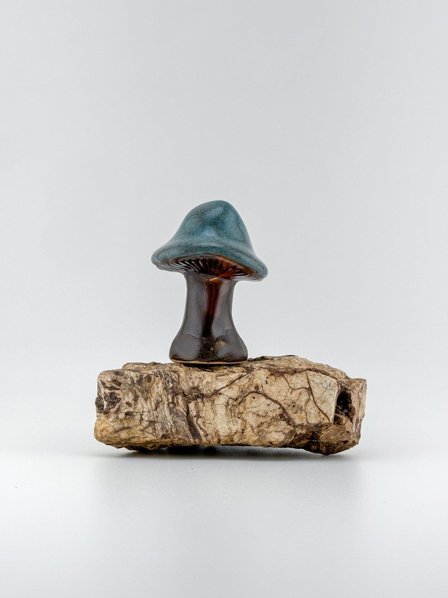Mushroom Series 1 / Tourmaline / Medium