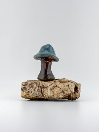 Mushroom Series 1 / Tourmaline / Medium
