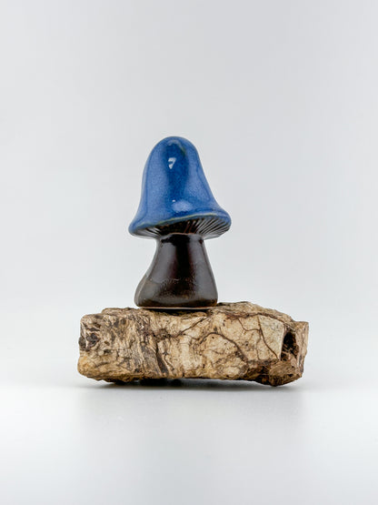 Mushroom Series 1 / Indigo Float / Large