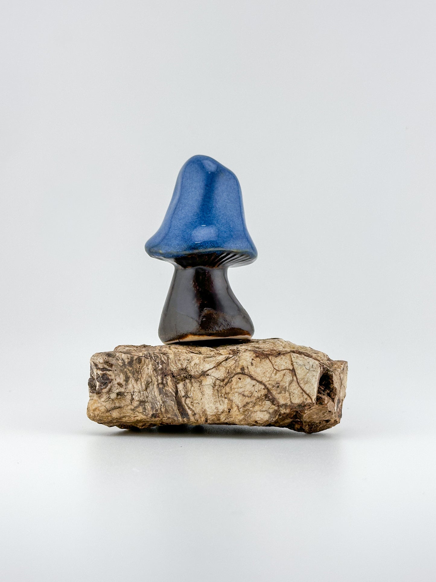 Mushroom Series 1 / Indigo Float / Large