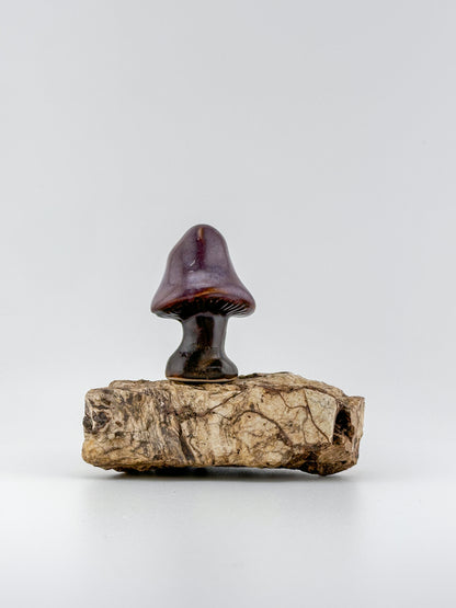 Mushroom Series 1 / Smokey Merlot / Small