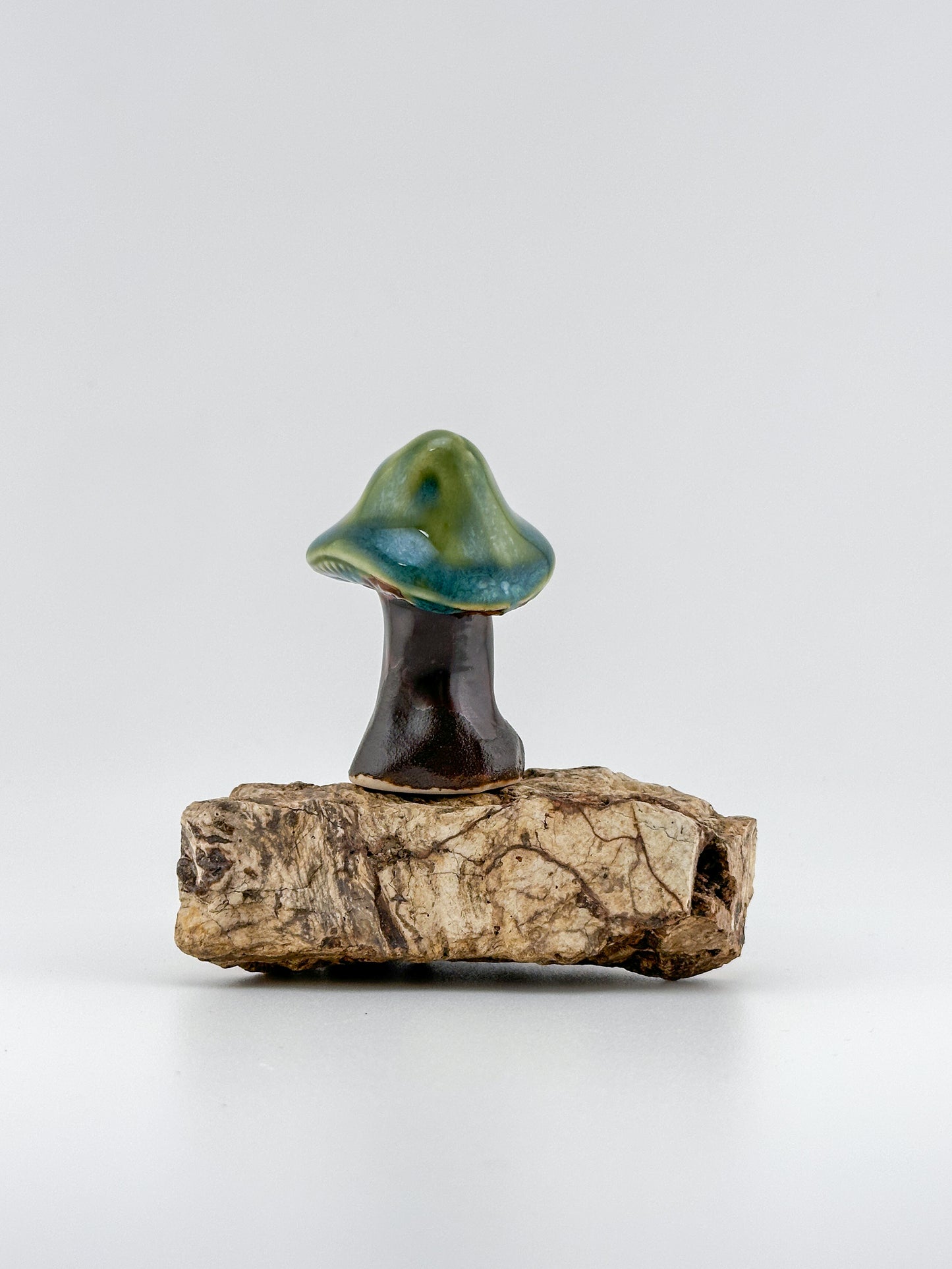 Mushroom Series 1 / Emerald Falls / Medium