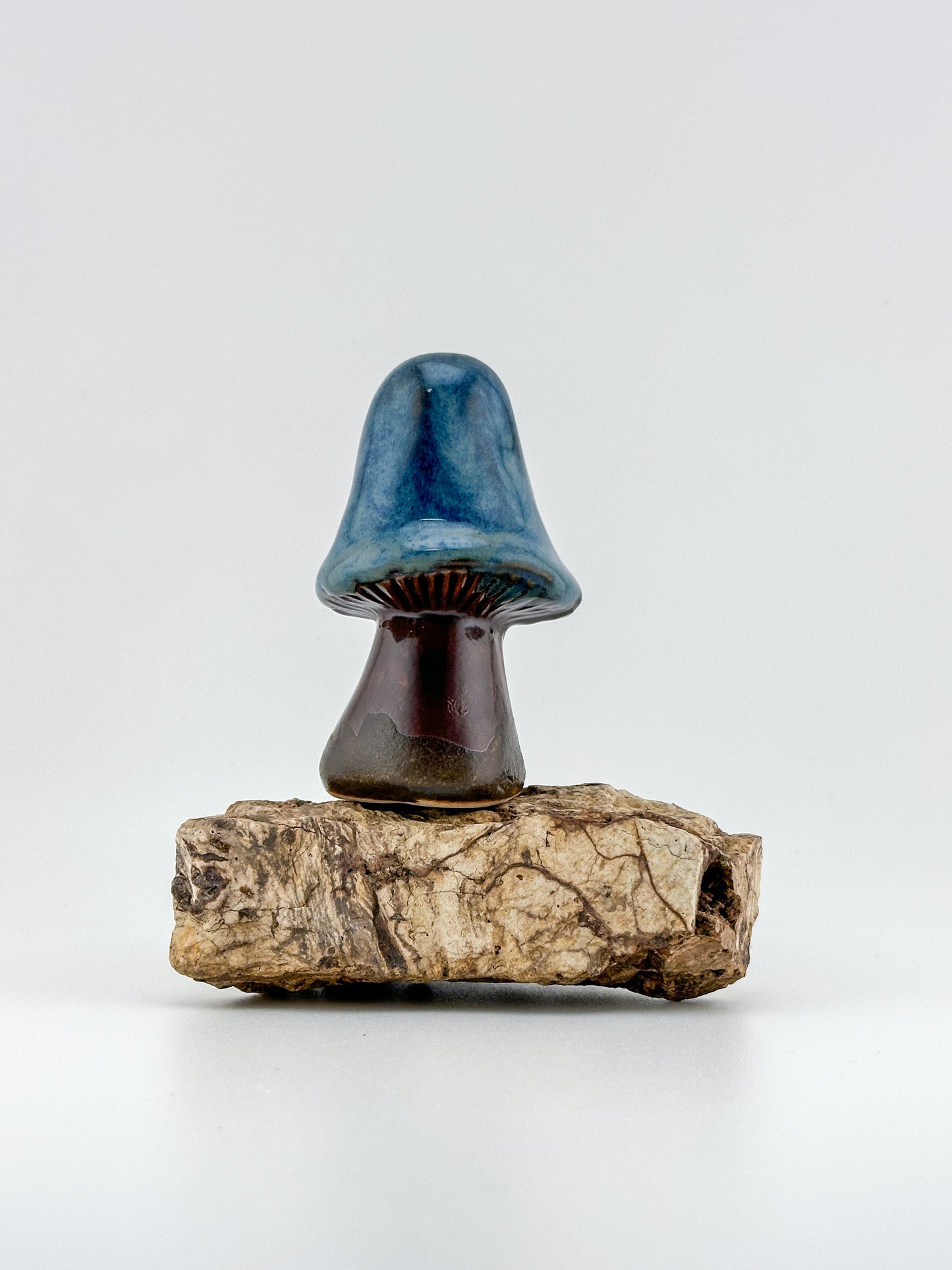 Mushroom Series 1 / Emerald Falls / Medium