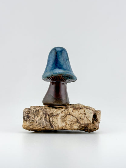 Mushroom Series 1 / Emerald Falls / Medium