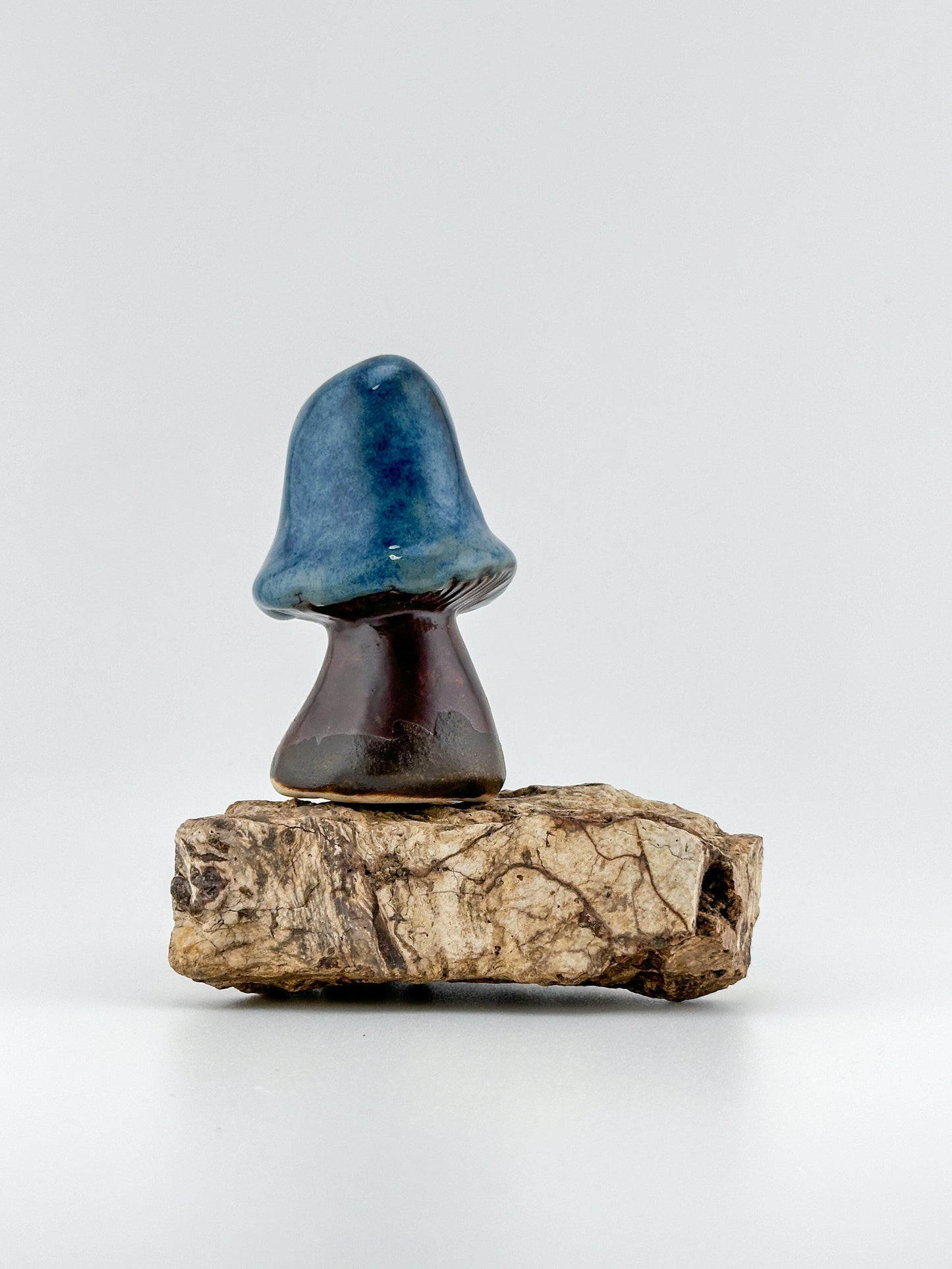 Mushroom Series 1 / Emerald Falls / Medium