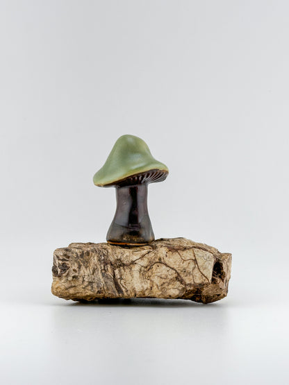 Mushroom Series 1 / Green Tea / Medium