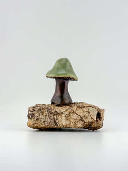 Mushroom Series 1 / Green Tea / Medium
